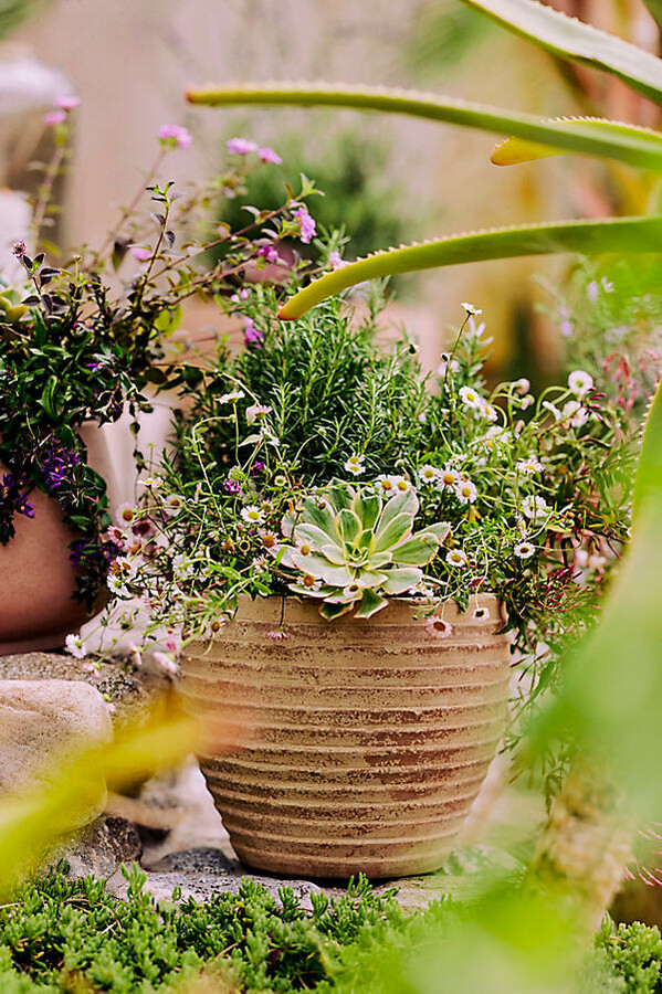 Antiqued Ring Ceramic Jar Planter