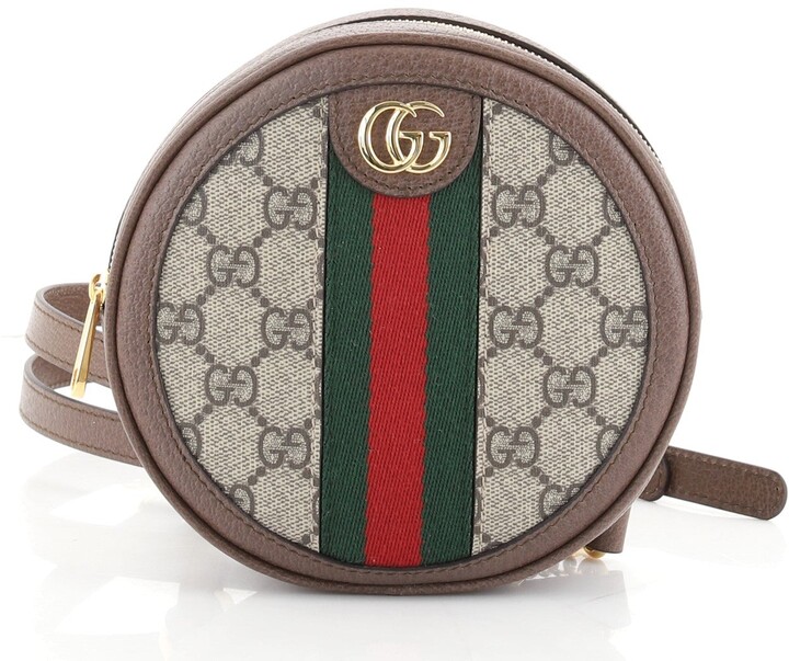 canvas gucci