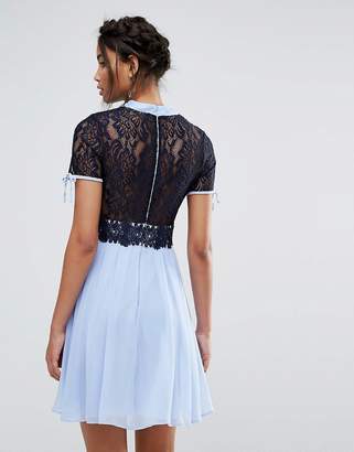 Elise Ryan Skater Dress With Corded Lace Upper