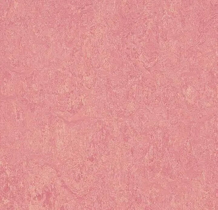 Forbo Flooring Marmoleum Cinch Loc Seal Laminate Square in Honeysuckle 11.81inx11.81in. 6.78SF