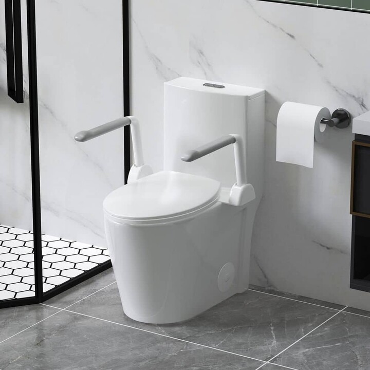 Flynama One-Piece 1.1/1.6 GPF Round Dual-Flush One Piece Toilet in White, Soft Close Seat Included, longated Comfort Height
