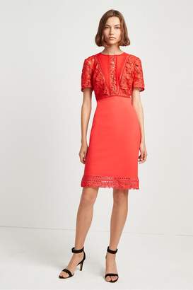 French Connection Viola Lula Lace Dress