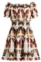 Thumbnail for your product : Dolce & Gabbana Butterfly Print Cotton Poplin Mini Dress - Womens - Brown White