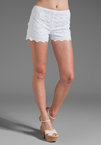Thumbnail for your product : Anna Sui Eyelet Lace Shorts