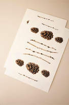 Thumbnail for your product : BHLDN Pinecone Placemats (25)