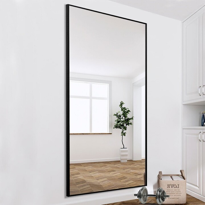 Paloma 71" x 31" Oversize Bathroom/Vanity Mirror, Extra Large