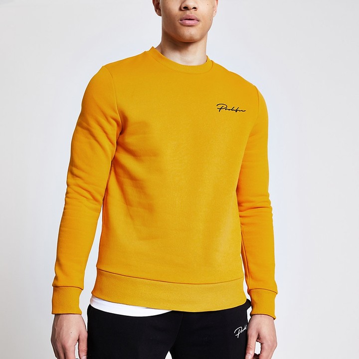 prolific champion sweatshirt