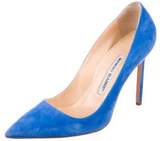 Thumbnail for your product : Manolo Blahnik Suede BB Pumps