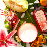 Thumbnail for your product : Pier 1 Imports White Nectarine Reed Diffuser Oil Refill