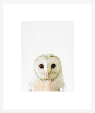 LA GROLLA Owl Framed Print