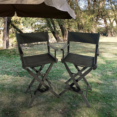 Latitude Run Casual Home Director's Chair Black Frame/Black CanvasSuitable For Adults Foldable Style 2Pcs/Set Populus