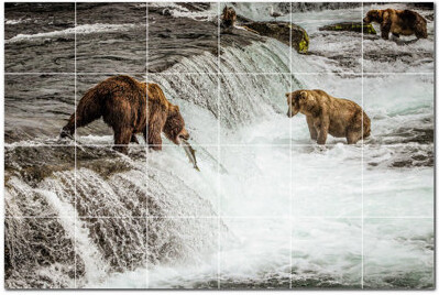Picture-Tiles.com Bear Photo 6'' x 6'' Satin Ceramic Decorative Mural