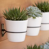 Thumbnail for your product : Crate & Barrel Wall Planter Hook