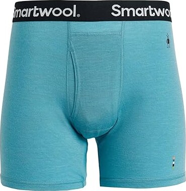 Smartwool Merino Boxer Brief Boxed Men's Underwear Mineral Blue : LG, Wool/Nylon