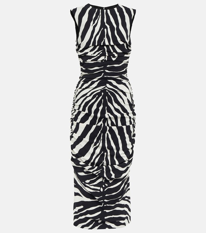 Dolce & Gabbana Zebraprint cady midi dress ShopStyle