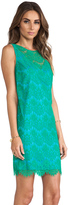 Thumbnail for your product : Jay Godfrey Griffin Dress