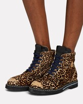 Thumbnail for your product : Golden Goose Ele Leopard Calf Hair Ankle Boots
