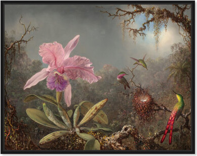 Art Remedy Classic Florals Canvas, Heade Orchid and Hummingbirds