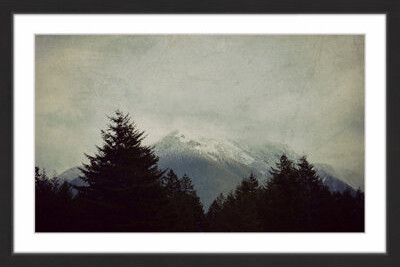 Marmont Hill Brave The Storm by Robin Delean - Photograph Print