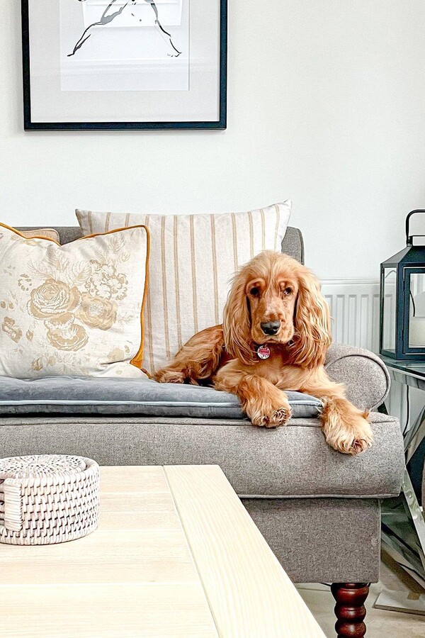 Lords & Labradors Velvet Sofa Topper ShopStyle