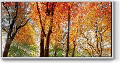 Lark Manor Prism of Light- Framed Gallery Wrapped Canvas -Ready to Hang