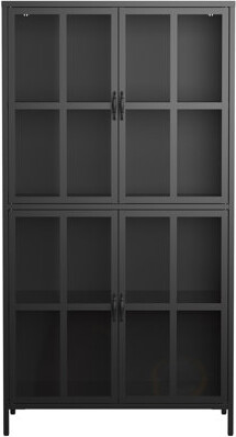 Latitude Run Metal Storage Chest With Spacious Interior, Fall Device, For Home Decor Cabinet Antique Look, Shelves, Stable Feet Bedrooms