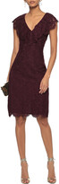 Thumbnail for your product : Rachel Zoe Daisy ruffle-trimmed corded lace dress