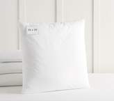 Thumbnail for your product : Pottery Barn Kids Pillow Insert