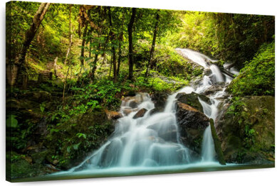 Millwood Pines Alvord Hidden Rainforest Waterfall