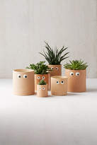 Thumbnail for your product : Urban Outfitters Henry Googly Eye Planter