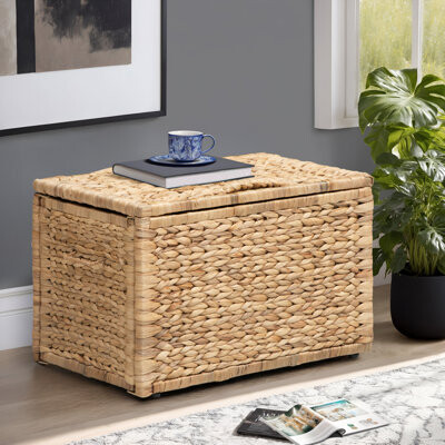 Highland Dunes Ved Heavy-duty Water Hyacinth Wicker Storage Trunk with Metal Frame