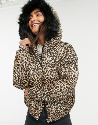 Brave Soul fernie leopard puffer coat