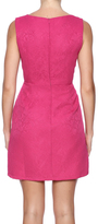 Thumbnail for your product : Aryeh Lace Sheath Dress