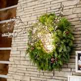 Thumbnail for your product : PBteen 4504 Moose Head With String Lights