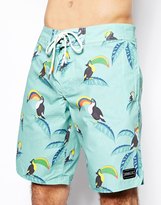 Thumbnail for your product : O'Neill Bird Watching Boardshorts 19" Leg