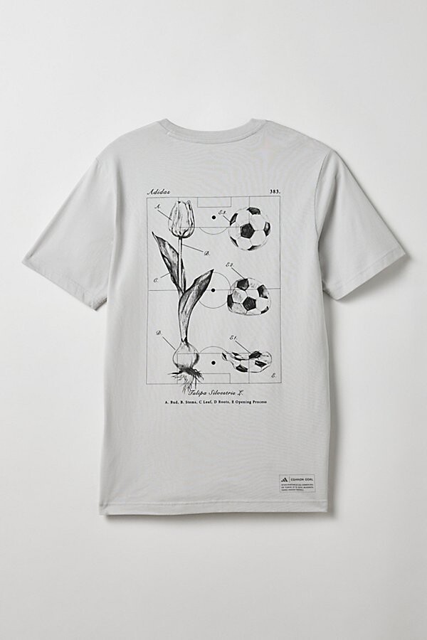 adidas House Of Tiro Tulip Graphic Tee in Grey One