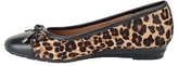 Thumbnail for your product : Sofft Women's Selima Ballet Wedge
