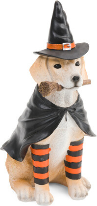 TJMAXX Wtich Costume Dog Decor