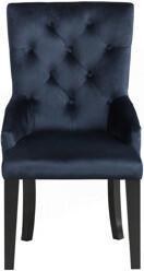House of Hampton Varian II Dark Navy Velvet & Black Finish Side Chair
