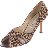 Thumbnail for your product : Manolo Blahnik Printed Ponyhair Pumps