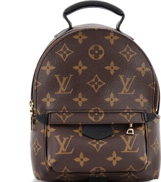 Louis Vuitton Monogram Mini Palm Springs — Restyled By Erin