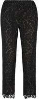 Thumbnail for your product : Erdem Gianna embroidered lace and silk-blend crepe tapered pants