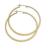 Thumbnail for your product : Jennifer Zeuner Jewelry Liv Small Hoop Earrings