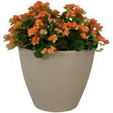 Beige Garden Decor Shopstyle