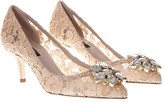 Thumbnail for your product : Dolce & Gabbana 60mm Bellucci Lace & Swarovski Pumps