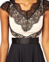 Thumbnail for your product : Elise Ryan Contrast Skater Dress in Eyelash Lace