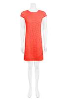 Thumbnail for your product : Select Fashion Fashion Womens Orange Daisy Lace Shift Dress - size 6