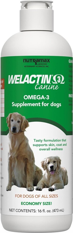 Nutramax Welactin Omega-3 Liquid Skin & Coat Supplement for Dogs, 16-fl oz bottle, bundle of 2