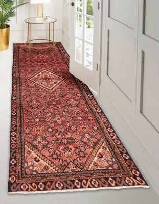 Andelz Red Rug 3'1" x 10'0"