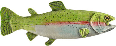 Notting Hill Lodge Nature Great Outdoors Rainbow Trout 3\